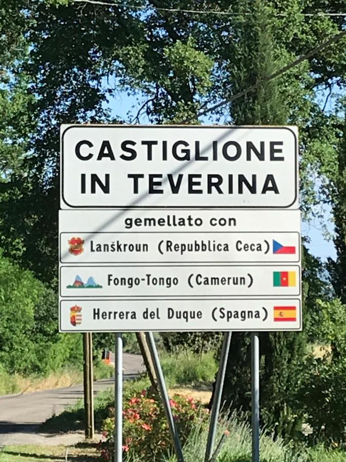 Castiglione Apartament You&Me Lejlighed Castiglione In Teverina Eksteriør billede